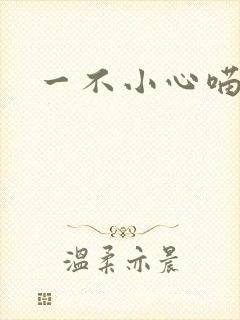 一不小心喵上你