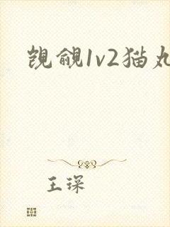 觊觎1v2猫丸