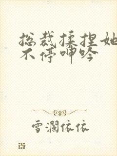 总裁揉捏她两乳不停呻吟