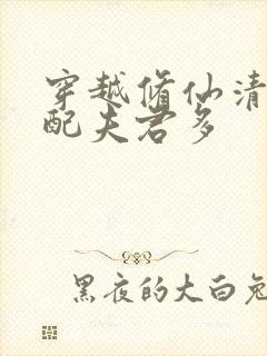 穿越修仙清纯女配夫君多