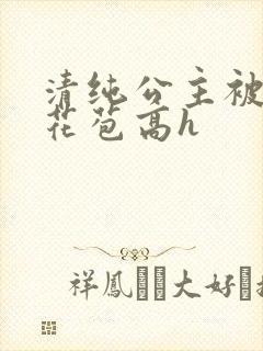 清纯公主被迫开花苞高h