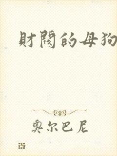 财阀的母狗们