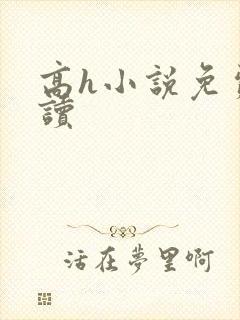 高h小说免费阅读