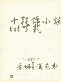 十段锦小说全本txt下载