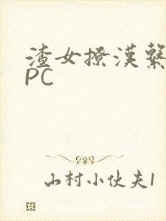 渣女撩汉系统NPC