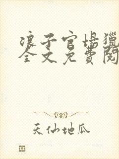 浪子官场猎艳记全文免费阅读