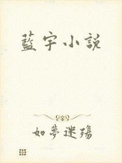 蓝宇小说