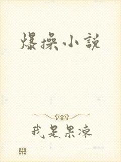 爆操小说