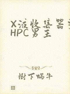 X液收集器系统HPC男主