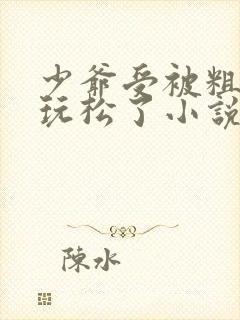 少爷受被粗汉H玩松了小说