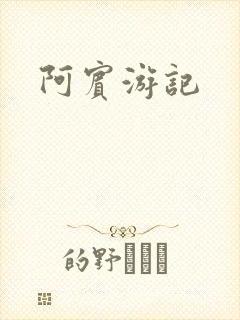 阿宾游记