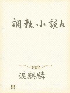 调教小说h