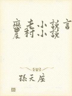 恋老小说言情网农村小说