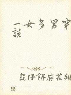 一女多男穿越小说