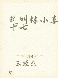 我叫林小喜今年十七