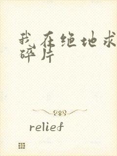 我在绝地求生捡碎片