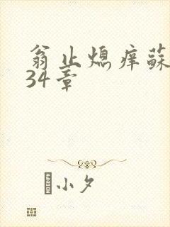 翁止熄痒苏钥第34章
