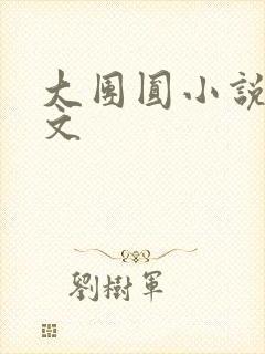 大团圆小说集全文