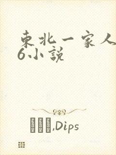 东北一家人1一6小说