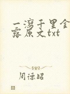 一泻千里金银花露原文txt