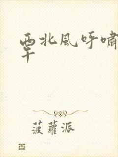 西北风呼啸的中午