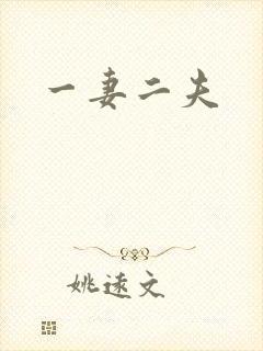 一妻二夫