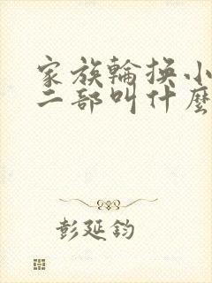 家族轮换小说第二部叫什么名字