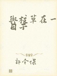 与校草在一起的日子