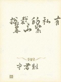 总裁的私有宝贝 暮山紫