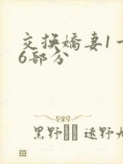 交换娇妻1一36部分