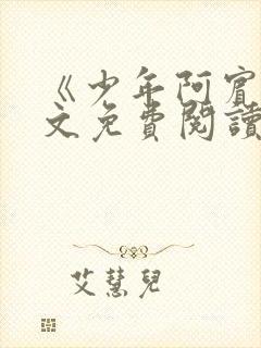 《少年阿宾》全文免费阅读