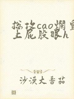 总攻cao烂皇上屁股眼h