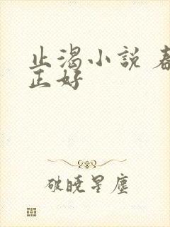 止渴小说 春光正好