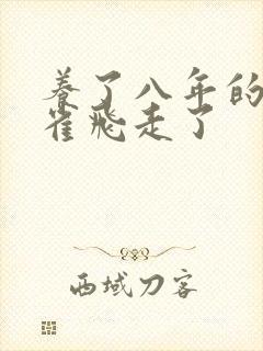 养了八年的金丝雀飞走了