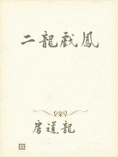二龙戏凤