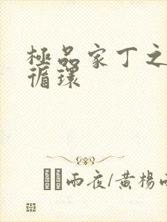 极品家丁之因果循环