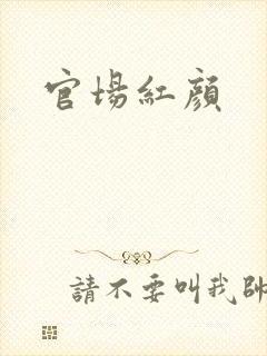 官场红颜