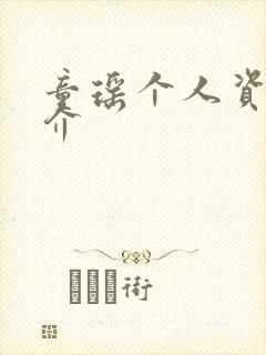 童瑶个人资料简介