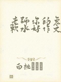 老师你的兔子好软水好作文免费阅读