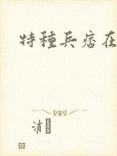 特种兵痞在都市