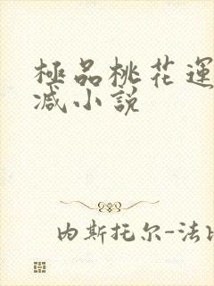 极品桃花运未删减小说