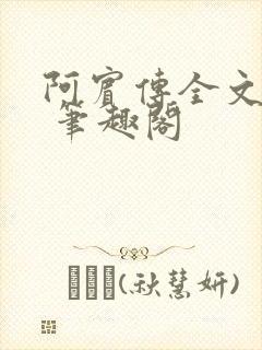 阿宾传全文阅读 笔趣阁