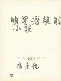 明星潜规则之皇 小说