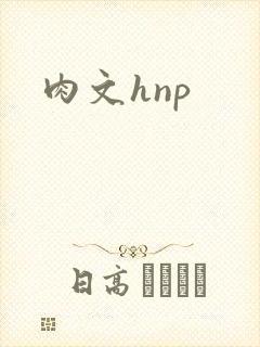 肉文hnp