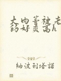 大肉蒂被老头嘬的好爽高h