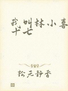 我叫林小喜今年十七