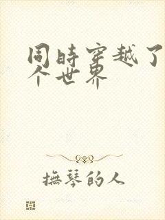 同时穿越了99个世界