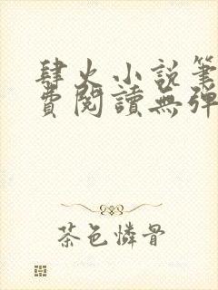 肆火小说笔趣免费阅读无弹窗