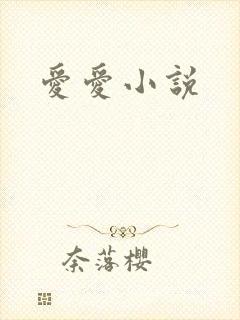 爱爱小说