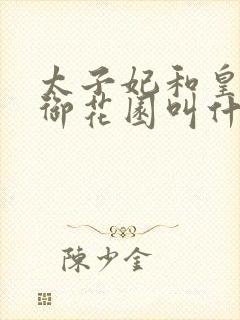 太子妃和皇帝在御花园叫什么小说